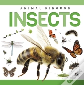 Insects