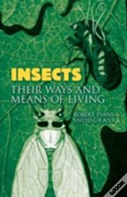 Capa do artigo Insects