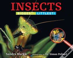 Capa do artigo Insects