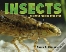 Insects