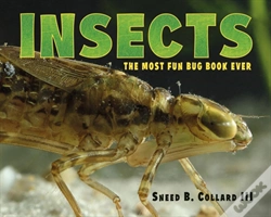 Capa do artigo Insects