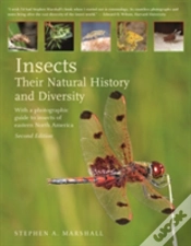 Capa do artigo Insects
