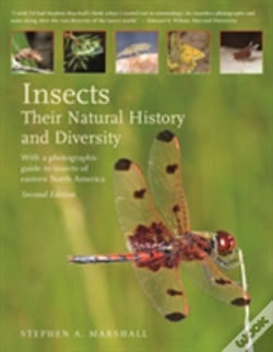 Capa do artigo Insects