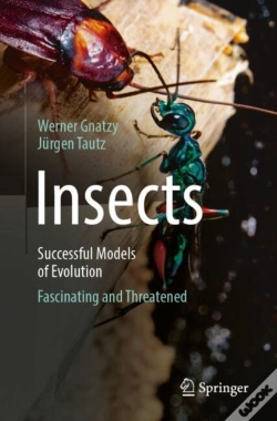 Capa do artigo Insects - Successful Models Of Evolution