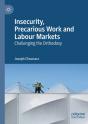 Insecurity, Precarious Work And Labour Markets - Preview