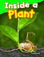 Inside A Plant - Preview
