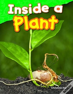 Capa do artigo Inside A Plant