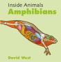 Inside Animals: Amphibians - Preview