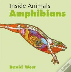 Capa do artigo Inside Animals: Amphibians