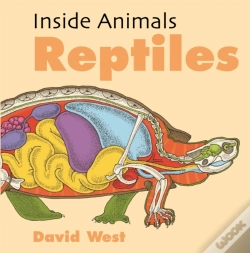 Capa do artigo Inside Animals: Reptiles
