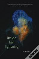 Inside Ball Lightning