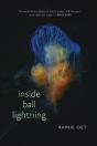 Inside Ball Lightning - Preview