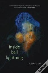 Inside Ball Lightning