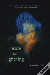 Capa do artigo Inside Ball Lightning