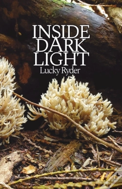 Capa do artigo Inside Dark Light