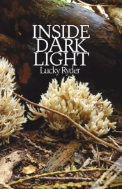Capa do artigo Inside Dark Light