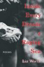Inside Every Dream, A Raging Sea - Preview