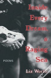 Capa do artigo Inside Every Dream, A Raging Sea