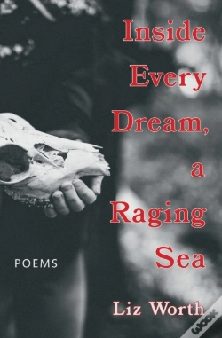 Capa do artigo Inside Every Dream, A Raging Sea