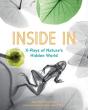 Inside In - Preview