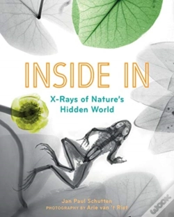 Capa do artigo Inside In