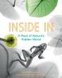 Inside In - Preview