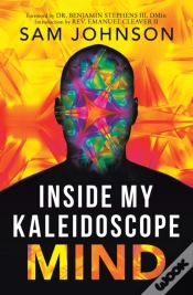Capa do artigo Inside My Kaleidoscope Mind
