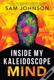 Capa do artigo Inside My Kaleidoscope Mind