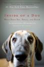 Inside Of A Dog - Preview