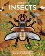 Inside Out Insects - Preview