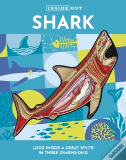 Capa do artigo Inside Out Shark