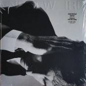 Capa do artigo Inside Problems - Vinil