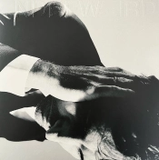 Capa do artigo Inside Problems - Vinil