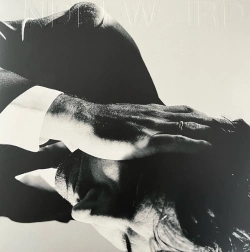 Capa do artigo Inside Problems - Vinil