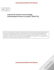 Inside The Fbi'S Domestic Terrorism Strategy