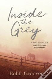 Capa do artigo Inside The Grey
