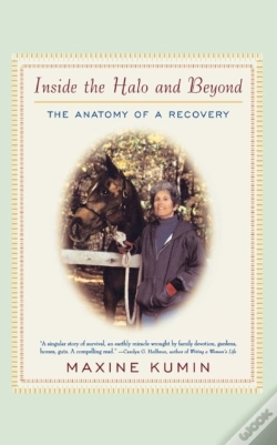 Capa do artigo Inside The Halo & Beyond - The Anatomy Of A Recovery
