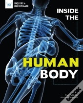 Inside The Human Body
