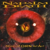 Capa do artigo Inside the Torn Apart - CD