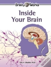 Inside Your Brain