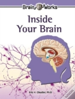 Capa do artigo Inside Your Brain