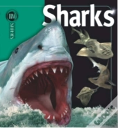 Insiders - Sharks