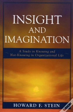 Capa do artigo Insight And Imagination