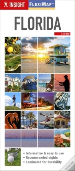 Capa do artigo Insight Flexi Map: Florida