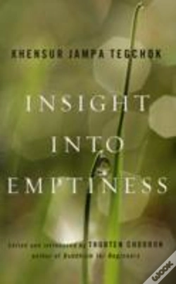 Capa do artigo Insight Into Emptiness