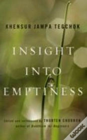 Capa do artigo Insight Into Emptiness