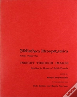 Capa do artigo Insight Through Images