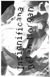 Capa do artigo Insignificana