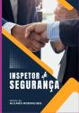 Inspetor De Segurança - Preview