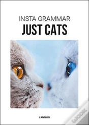 Capa do artigo Insta Grammar Just Cats